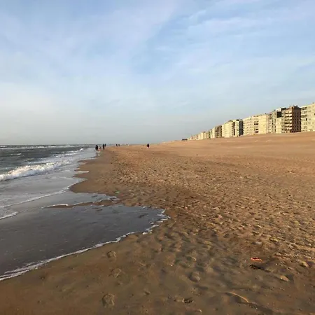 In Near Seawall & Коксейде