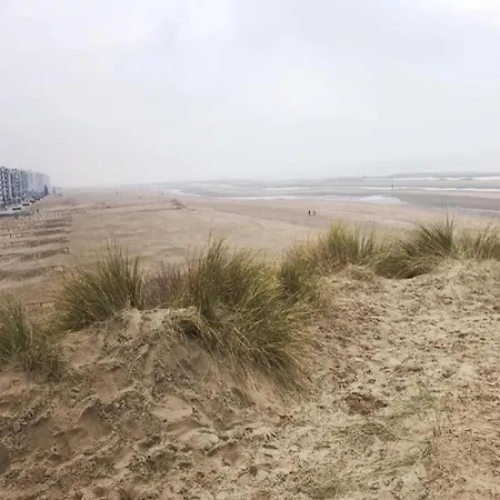 Апартаменты In Near Seawall & *