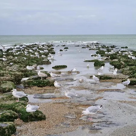 In Near Seawall & *