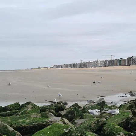 In Near Seawall & Коксейде